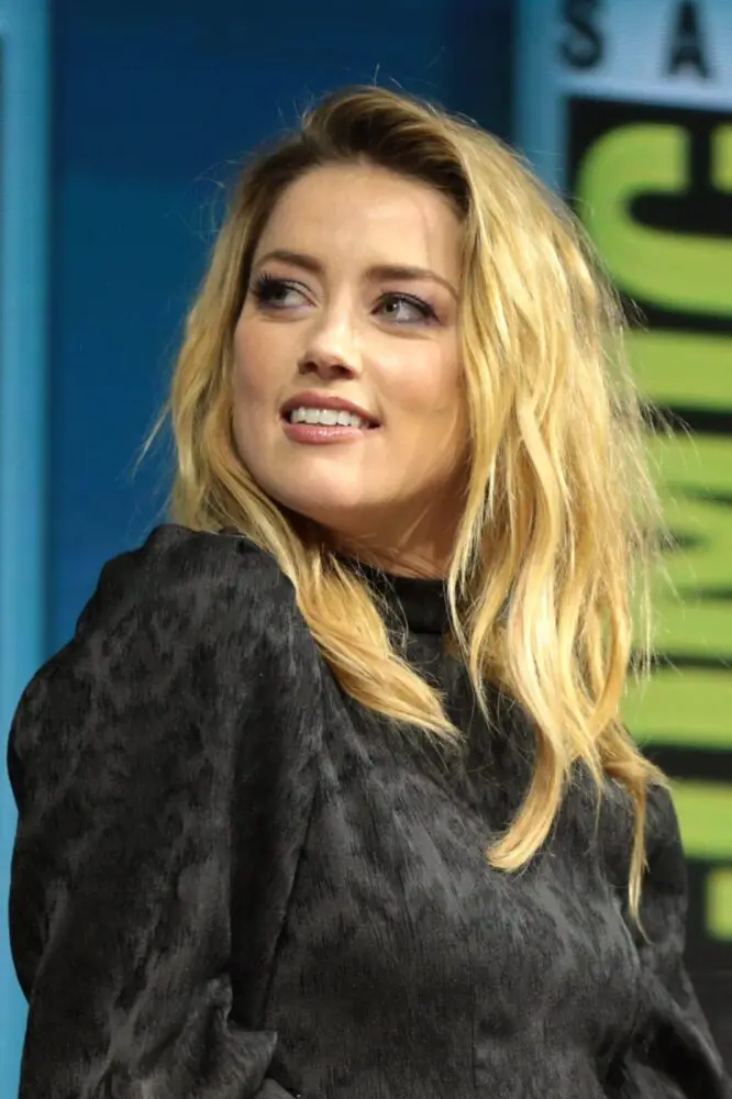 Amber Heard Net Worth, How Much Money Does Amber Heard Have?